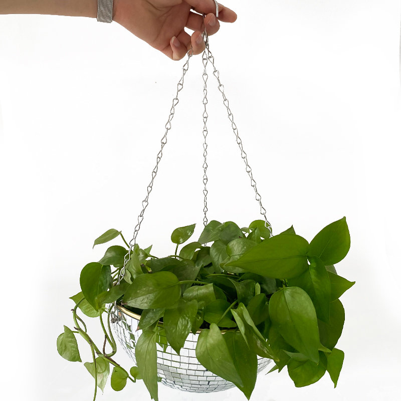 Disco Mirror Ball Hanging Flow - Florist Supply Vases recension och pris